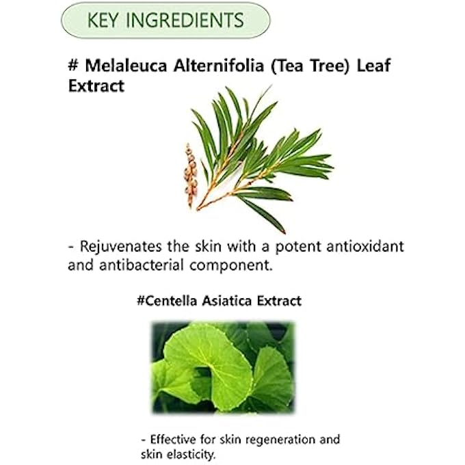 KOCOSTAR VEGAN FACIAL MASK SHEET TEA TREE FACE MASK | CLARIFYING & SOOTHING TREATMENT FOR OILY AND COMBINATION SKIN | PACK OF 1, 25ML - Image 2